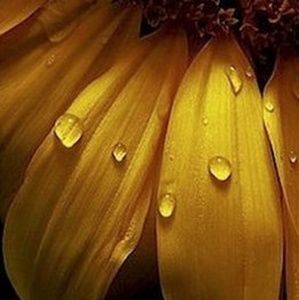 Meet your Posher, Kellie